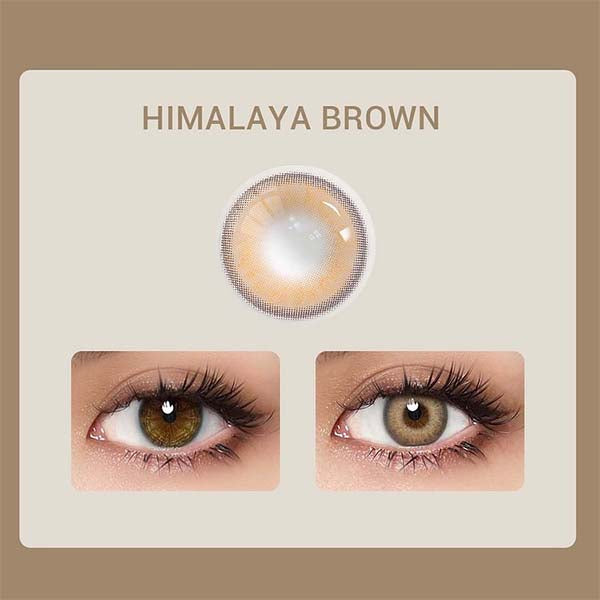 Himalaya Brown