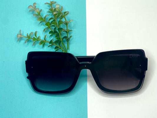 Christian Dior Sunglass